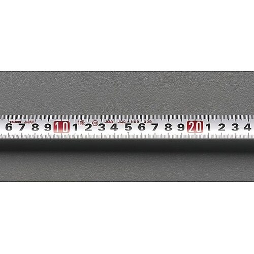 ���W���[