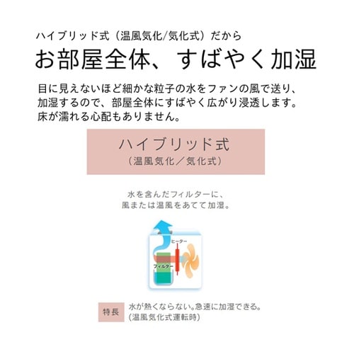 �n�C�u���b�h��������