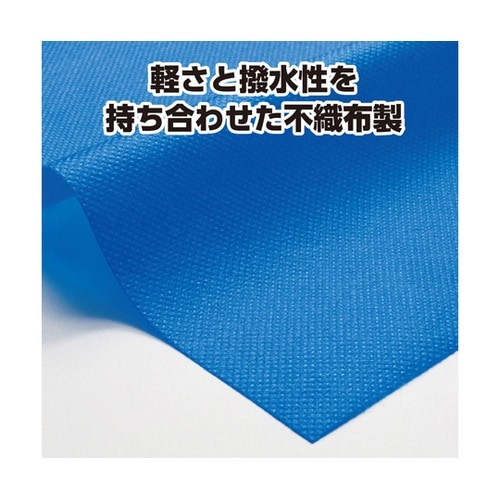 �J���[�s�D�z�����O�n�b�s�i�n�`�}�L�t�j�@