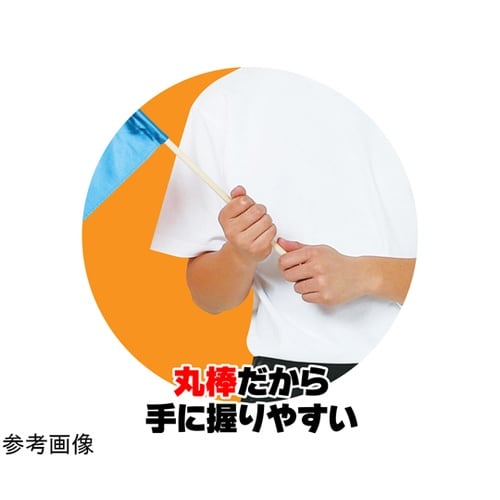 �T�e������@�ӂP�Q����