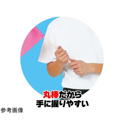 �T�e������@�ӂP�Q����