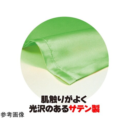 �T�e������@�ӂP�Q����