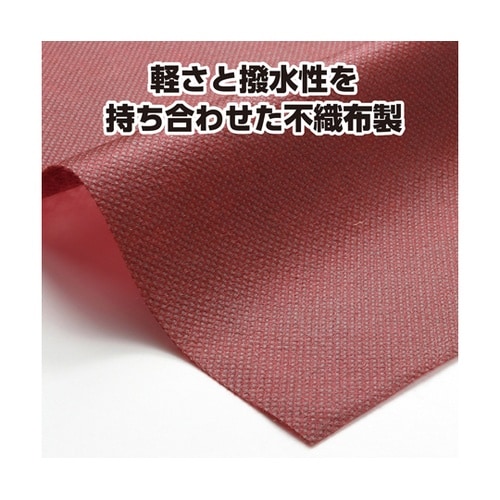 �J���[�s�D�z�n�`�}�L