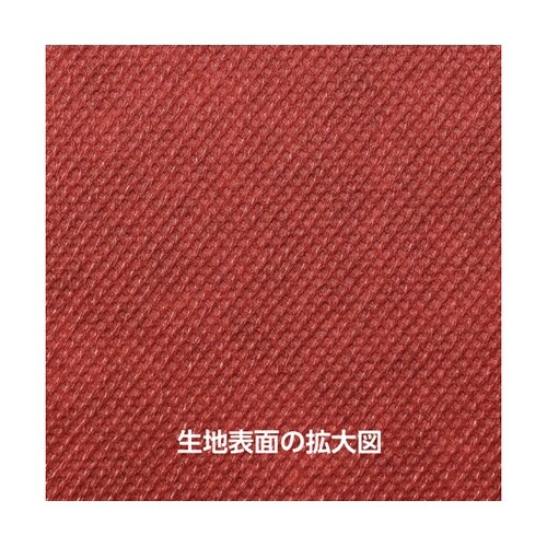 �J���[�s�D�z�n�`�}�L