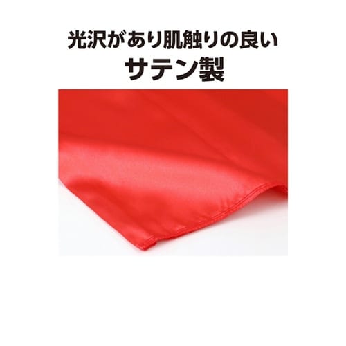 �\�t�g�T�e�������O�n�b�s