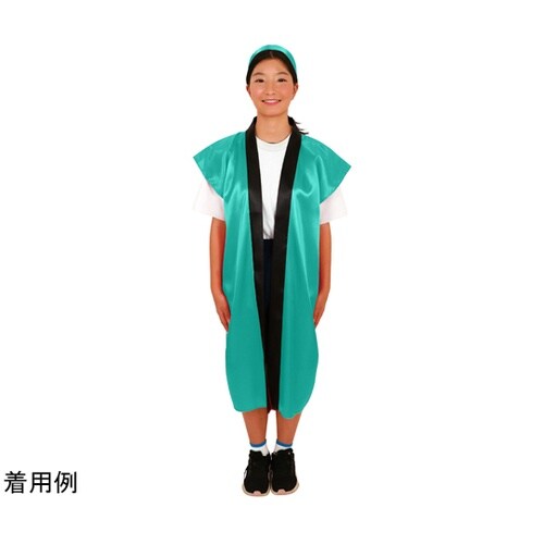 �\�t�g�T�e�������O�n�b�s�i�n�`�}�L�t�j�@