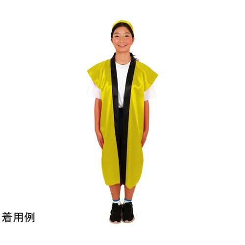 �T�e�������O�n�b�s�i�n�`�}�L�t�j