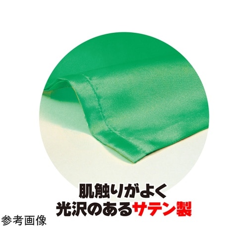 �T�e������@�ӂP�Q����