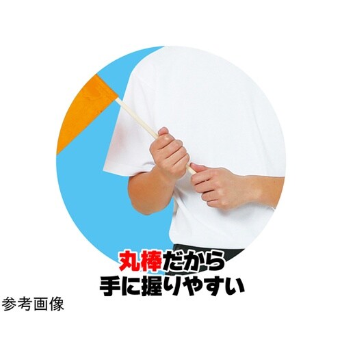 �T�e������@�ӂP�Q����