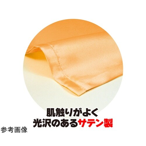 �T�e������@�ӂP�Q����