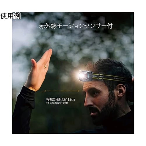 �[�d���k�d�c�w�b�h���C�g