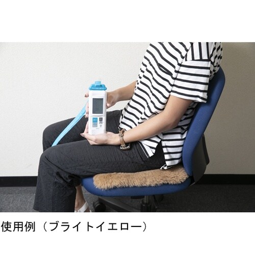 ムートン 床ずれ防止マットレス