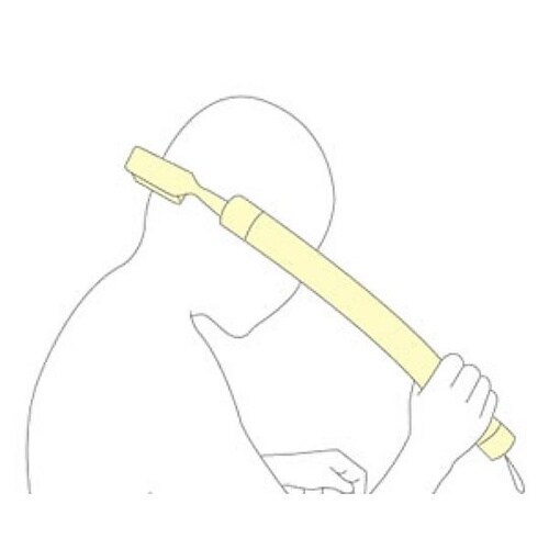 �o�i�i�J�[�u�@�w�A�E�{�f�B�u���V