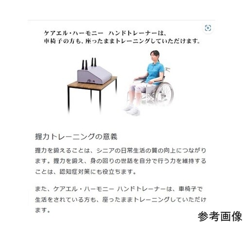 �n���h�g���[�i�[