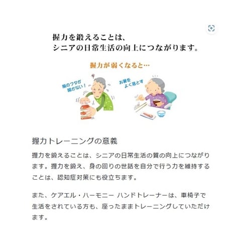 �n���h�g���[�i�[