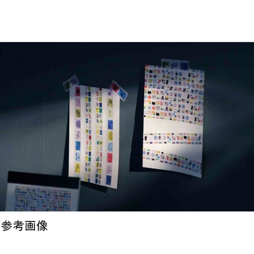 �}�X�L���O�e�[�v�@�����@������������