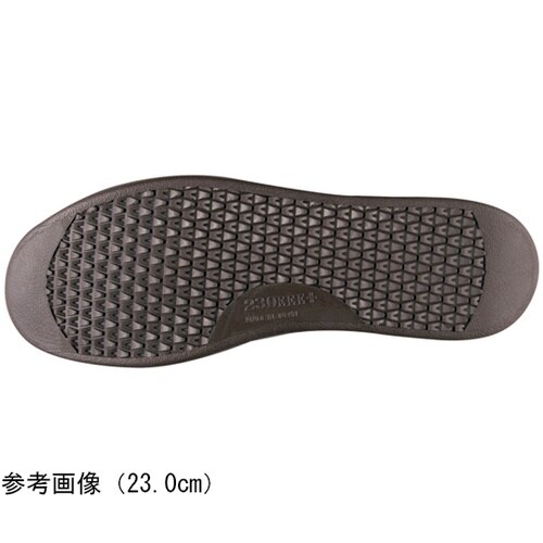 ������`�@�k�P�V�U�@�T���h�x�[�W��