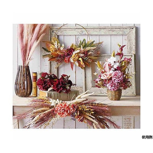 �J���[�p���p�X�O���X�X�v���[�X�O����