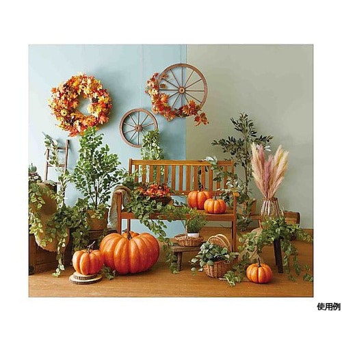 �J���[�p���p�X�O���X�X�v���[�X�O����