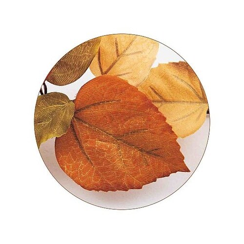 ���[�t�K�[�����h