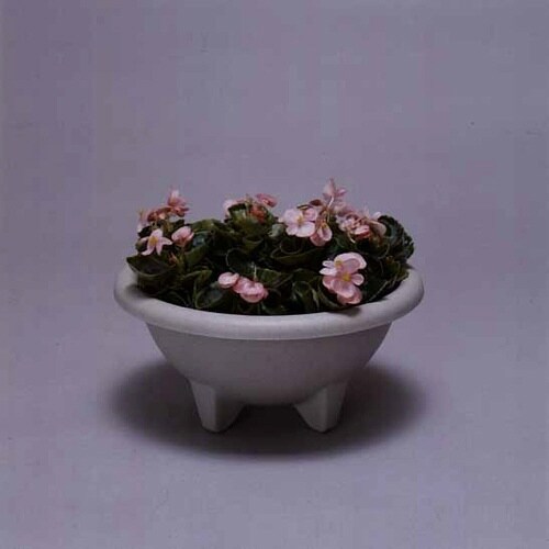 �{�[���v�����^�[�@�R�R�O�d