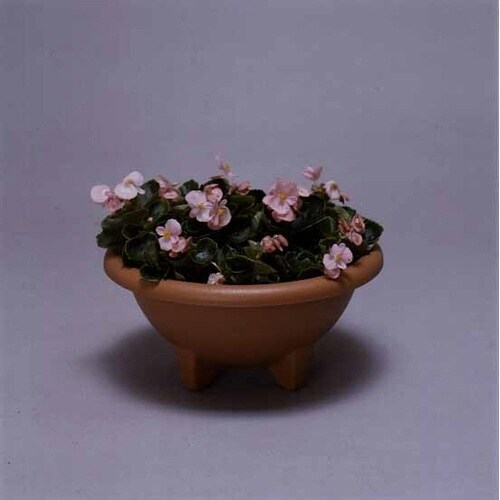 �{�[���v�����^�[�@�R�R�O�d