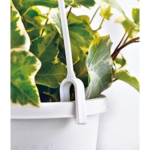 �n���M���O�}�C�X�^�[