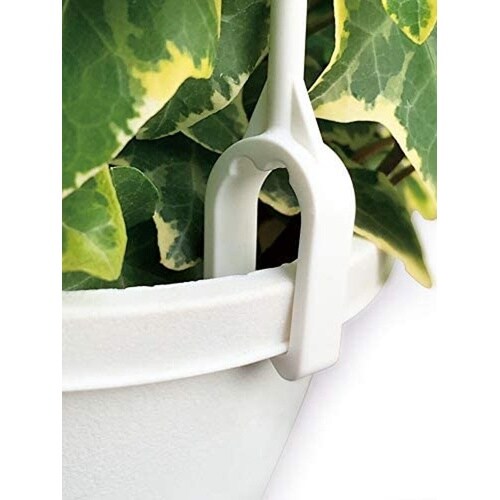 �n���M���O�}�C�X�^�[