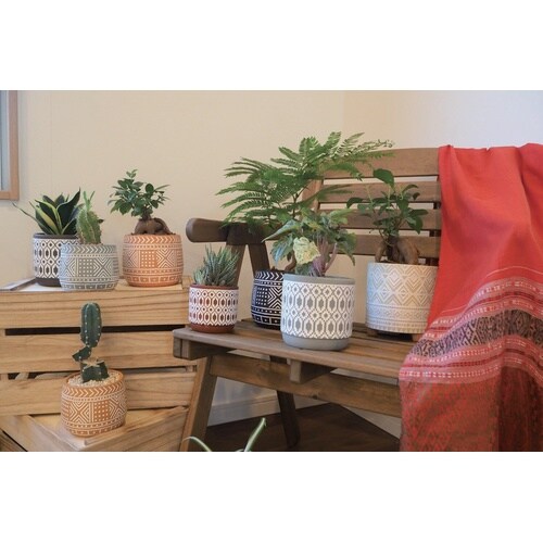 �L�b�R�[�|�b�g