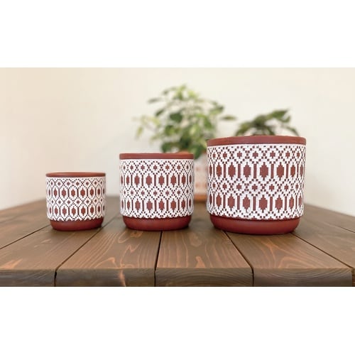 �L�b�R�[�|�b�g