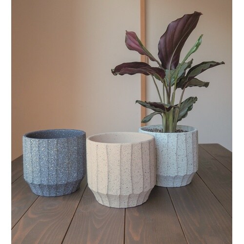 ���v���|�b�g