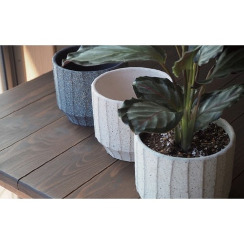 ���v���|�b�g