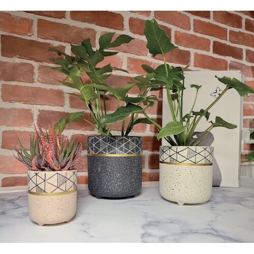 ���f�X�g�|�b�g