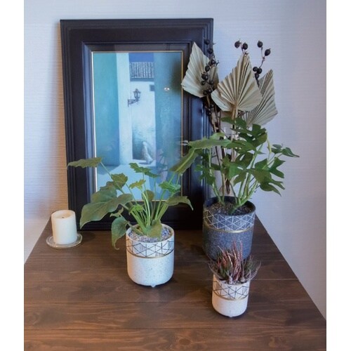 ���f�X�g�|�b�g