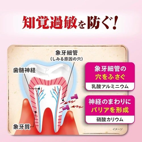 ��p�������@���t