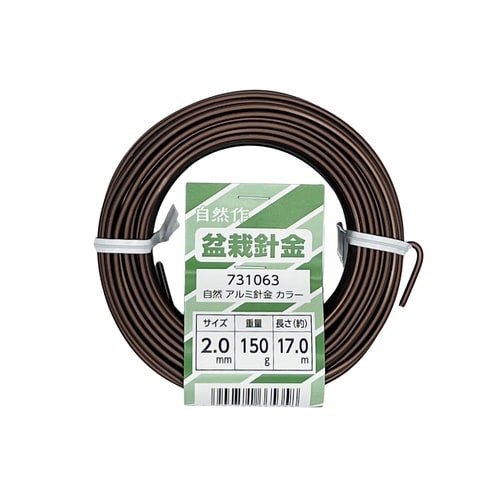 �A���~�i�~�́j�j��