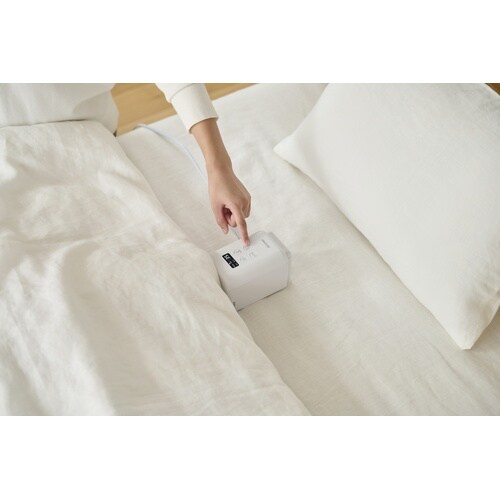 �ӂƂ񊣑��@�@�J�����G�@���������@�s�t�q�a�n