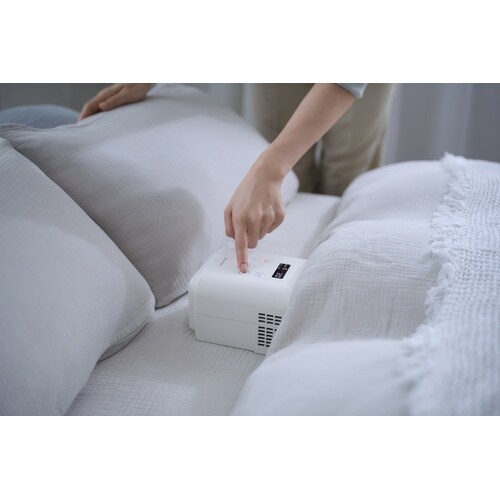 �ӂƂ񊣑��@�@�J�����G���������s�t�q�a�n�c�C��