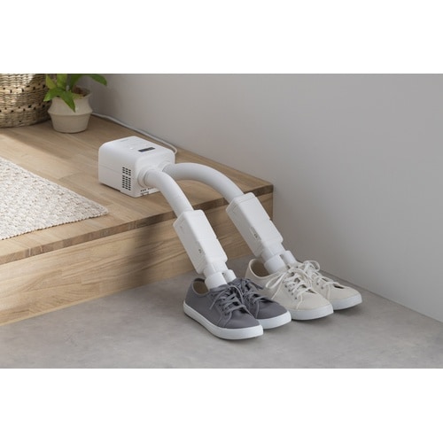 �ӂƂ񊣑��@�@�J�����G���������s�t�q�a�n�c�C��