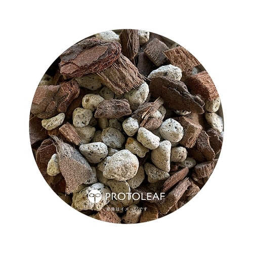 �m�����̓y