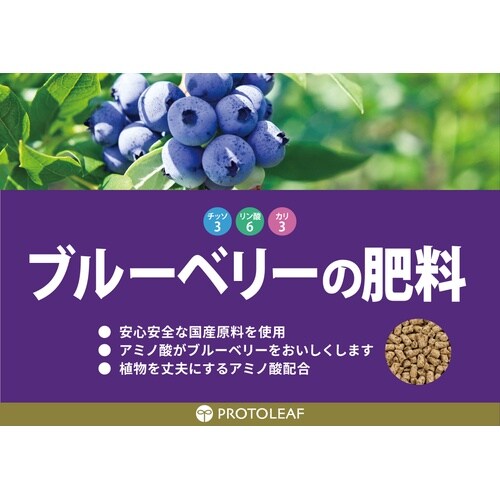 �u���[�x���[�̔엿