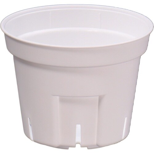 �r�|�b�g�@�P�O�g