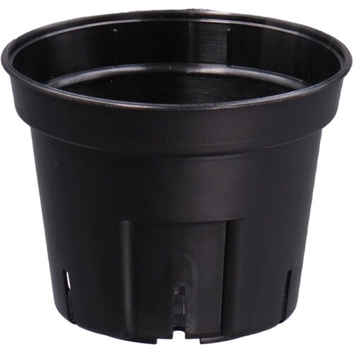 �r�|�b�g�@�P�O�g