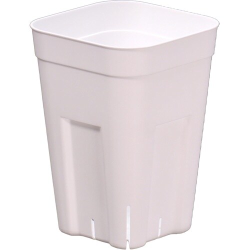 �v���X�e���@�T�g�@�z���C�g