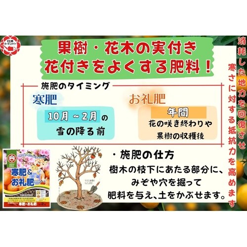 ����E�����