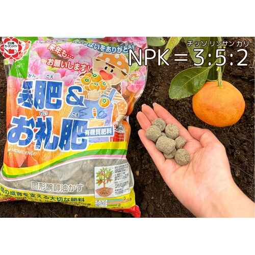 ����E�����