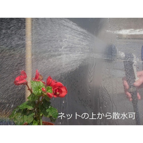 �h���l�b�g�@�`�i���b�V���V�[�g