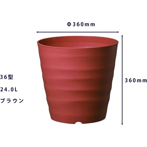 �t���O���[�|�b�g