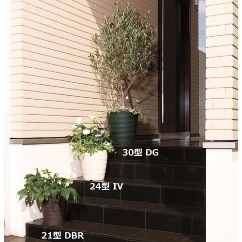 �t���O���[�|�b�g