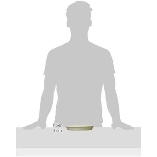 �t���O���[�v���[�g